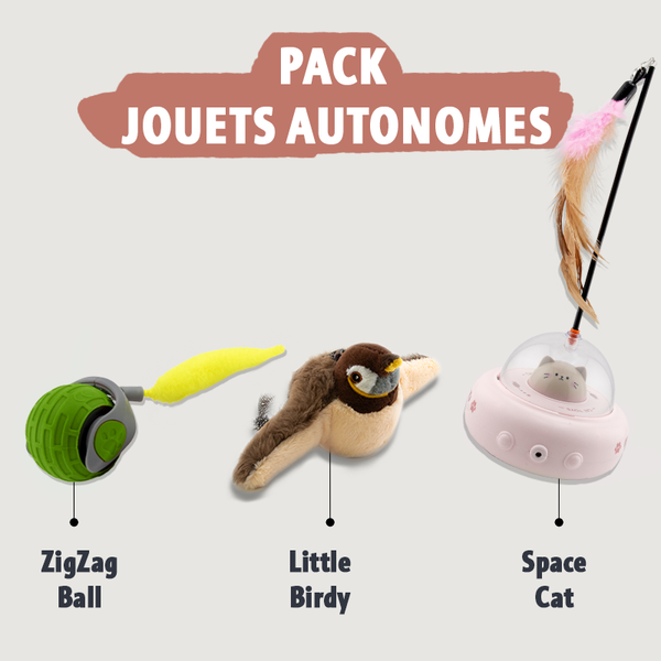 Pack jouets autonomes