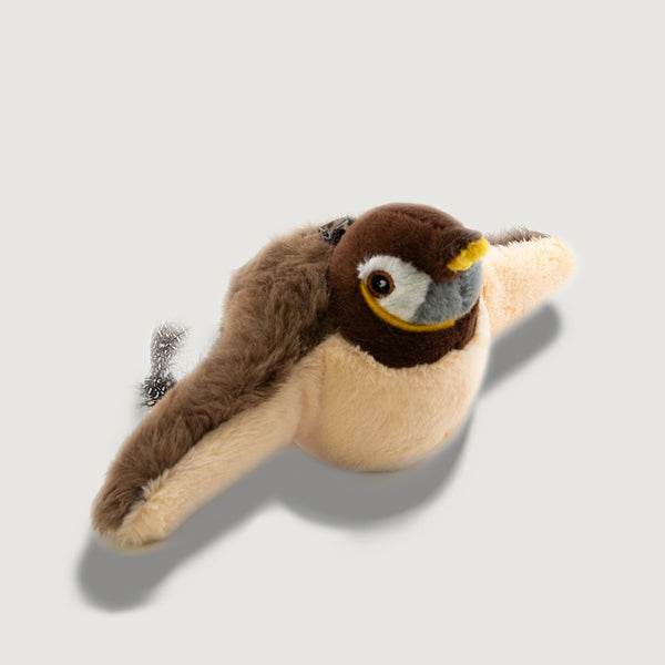 Little Birdy