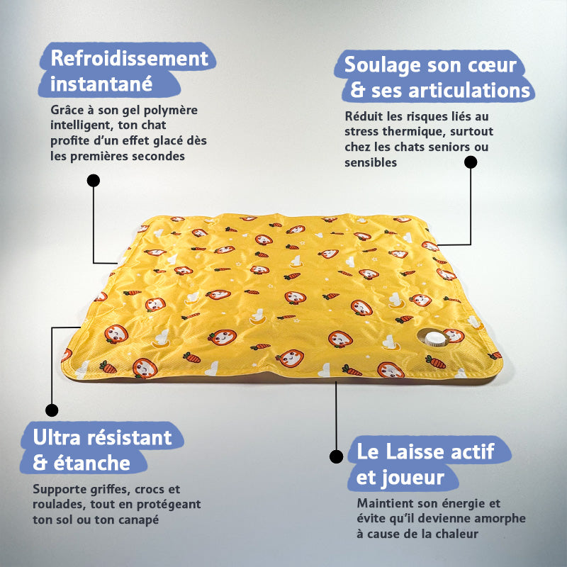 Pack Canicule
