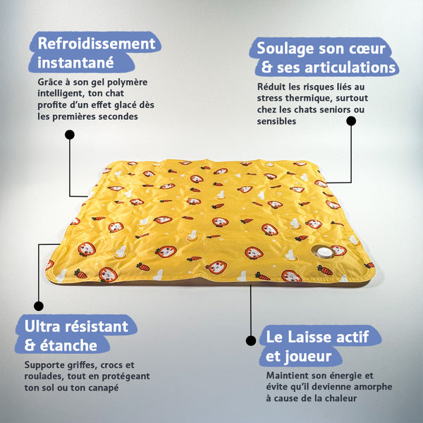 Ice Pad