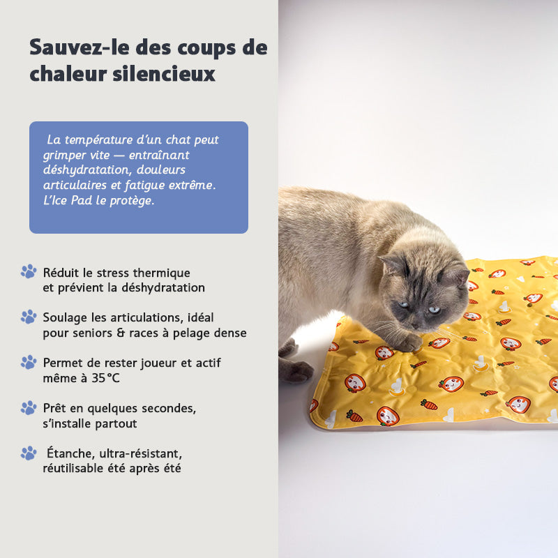 Pack Canicule