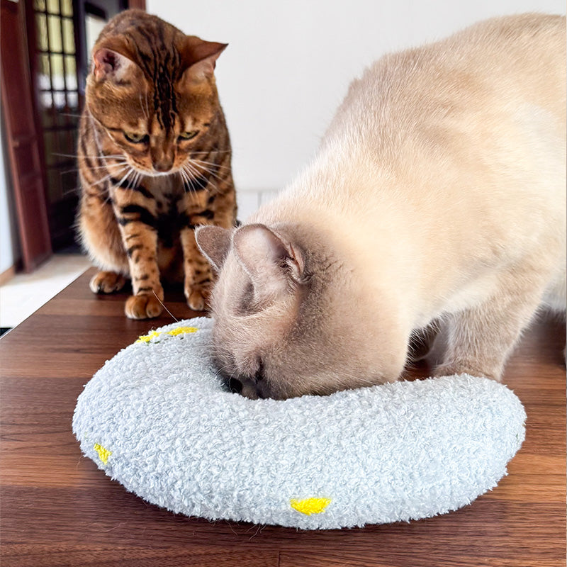 MomoPillow