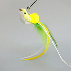 Oiseau tropical