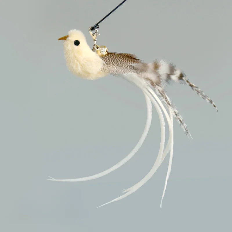 Oiseau blanc