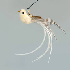 Oiseau blanc