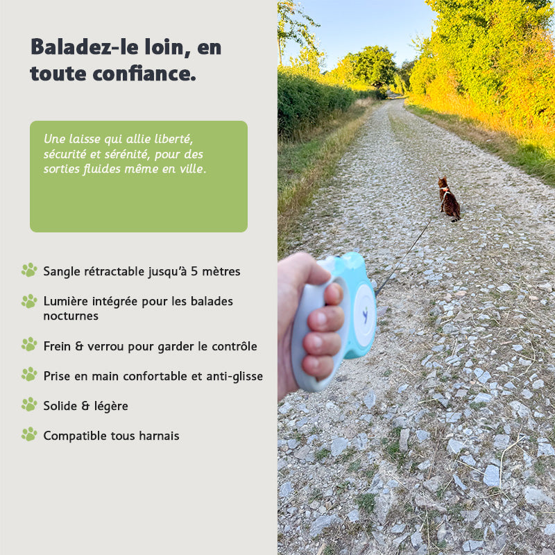 SafeWalk