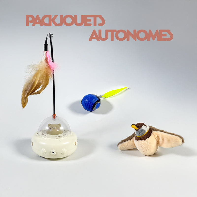 Pack jouets autonomes