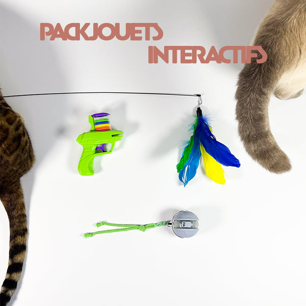 Pack jouets interactifs