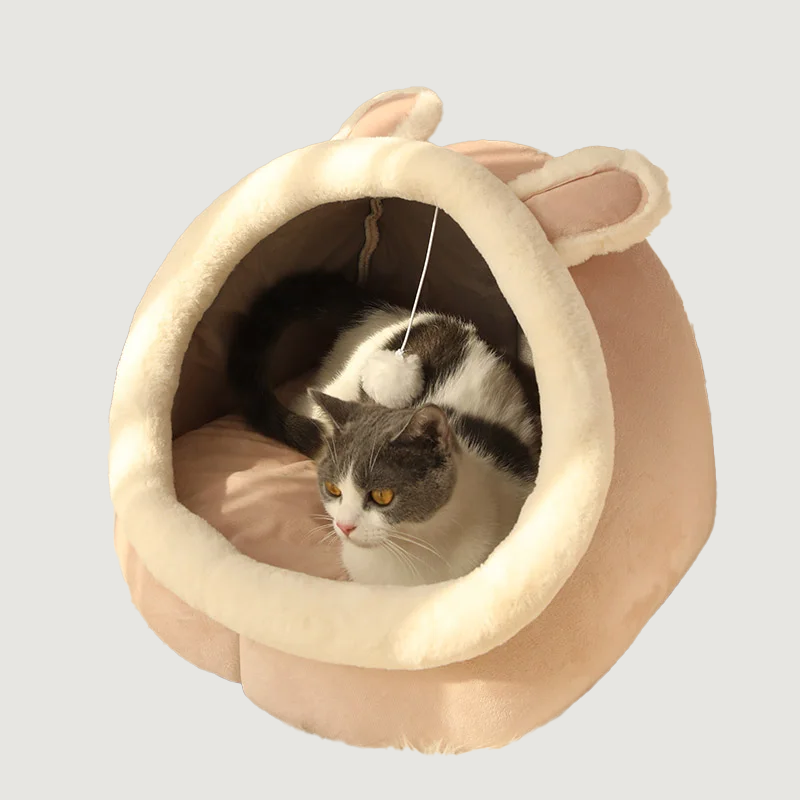 Cocoon
