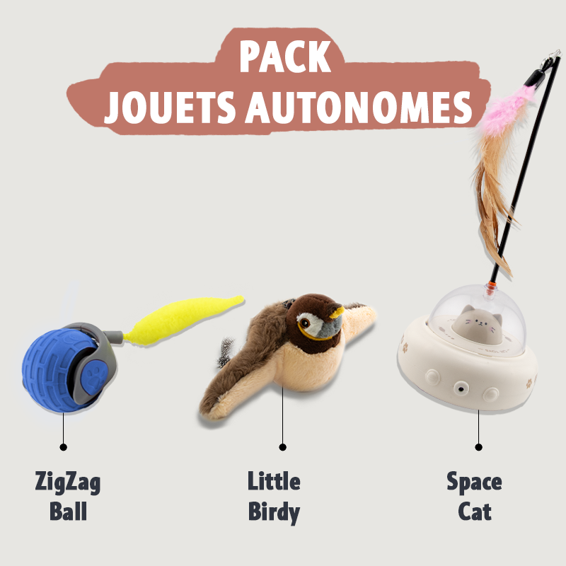 Pack jouets autonomes