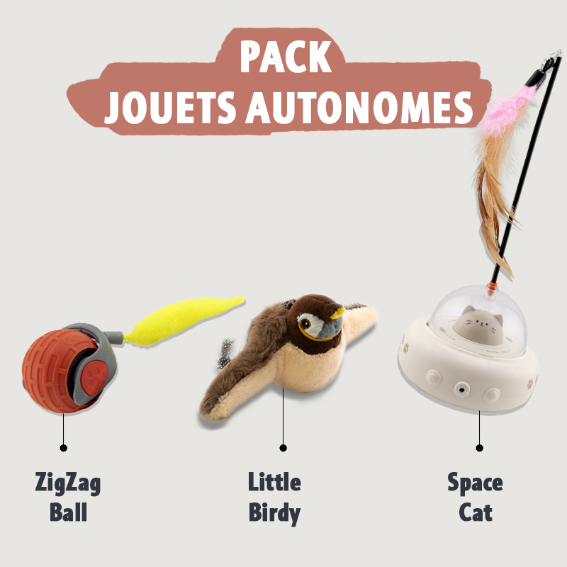 Pack jouets autonomes